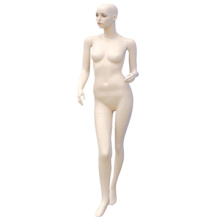 Female genital model ,nude female body , hot adult female model